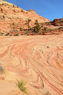 Slopes Prints: Eroded sandstones in the Beehive area of Zion Park, Zion National Park, Utah, USA