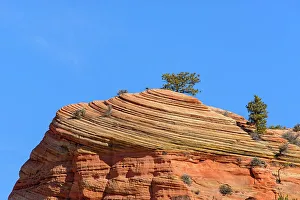 Slopes Prints: Eroded sandstones in the Beehive area of Zion Park, Zion National Park, Utah, USA
