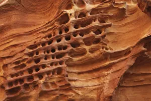 Erosion details in Capitol Gorge - USA, Utah, Wayne, Capitol Reef