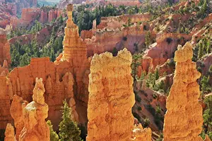Erosion landscape in Bryce Canyon at Fairyland Point - USA, Utah, Garfield, Bryce Canyon