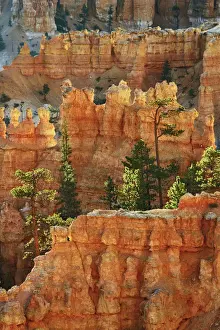 Erosion landscape in Bryce Canyon at Peekaboo Trail - USA, Utah, Garfield, Bryce Canyon
