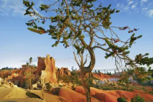 Erosion landscape in Bryce Canyon at Sunset Point - USA, Utah, Garfield, Bryce Canyon Erosion landscape in Bryce Canyon at Sunset Point - USA, Utah, Garfield, Bryce Canyon