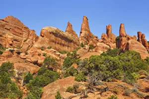 Grand Prints: Erosion landscape at Devils Graden - USA, Utah, Grand, Arches National Park