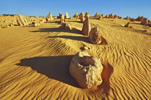 Western Australia Collection: Erosion landscape Pinnacles - Australia, Western Australia, Midwest