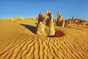 Erosion landscape Pinnacles - Australia, Western Australia, Midwest