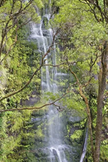 Erskine Falls, Great Otway National Park, Lorne, Great Ocean Road, Victoria, Australia
