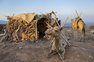 Ethiopia Prints: Erta Ale, Danakil Depression, Afar Region in north eastern Ethiopia