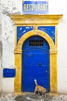 Images Dated 8th April 2015: Essaouira, Marrakech-Tensift-Al Haouz, Morocco