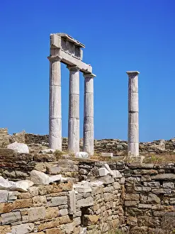 Delos Prints: Establishment of the Poseidoniasts