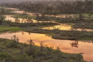 Estonia, Jogeva County, Endla bog is a nature reserve in central estonia
