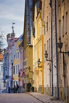 Baltic Collection: Estonia, Tallinn, building detail, Pikk Street