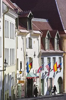 Tallinn Prints: Estonia, Tallinn, Old Town, Puhavaimu Street buildings