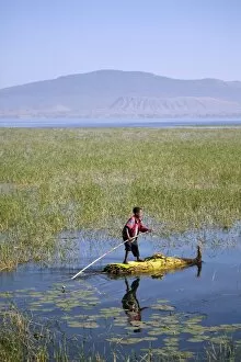 Ethiopia, Lake Awassa. A young boy punts a traditional reed Tankwa through the reeds