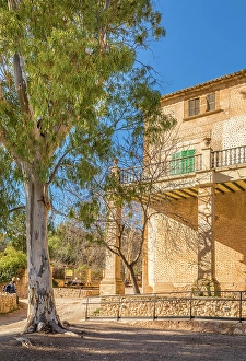 Manor House Prints: Eucalyptus tree with manor house of Finca Publica Galatzo