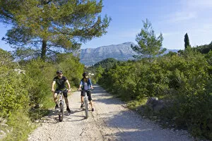 Images Dated 28th August 2015: Europe, Balkans, Croatia, Korcula, cyclists mountain biking around Korcula island (MR)