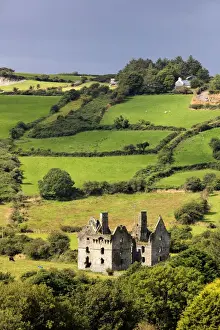 Abandoned Prints: Europe, Coppingers Court, a ruined four storey fortified house