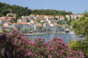 Europe, Croatia, Dalmatia, Korcula island, Vela Luka town, view of the centre of town