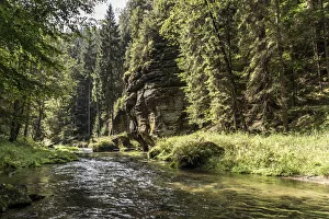 europe, Czech Republic, Hrensko. The Kamnitz Gorge
