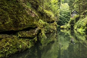 Images Dated 9th November 2016: europe, Czech Republic, Hrensko. The Kamnitz Gorge