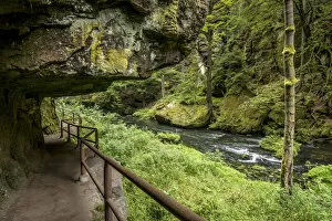 Images Dated 9th November 2016: europe, Czech Republic, Hrensko. The Kamnitz Gorge