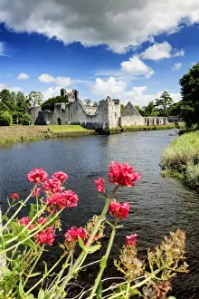 Limerick Prints: Europe, Dublin, Ireland, Adare Desmond castle in Adare village