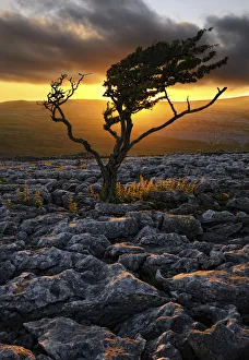 Windswept Prints: Europe, England, North Yorkshire, Ingleton, Twistleton Scars