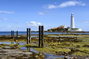 Europe, England, Tyne and Wear, St Marys Lighthouse
