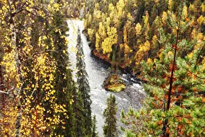 Finnish Gallery: Europe, Finland, Lapland, Kuusamo, Oulanka National Park, Kalliosaari island in the