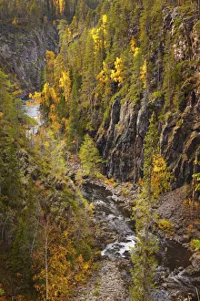Images Dated 25th November 2013: Europe, Finland, Lapland, Kuusamo, Oulanka National Park, Karhunkierros Trail - the