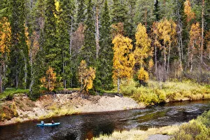 Images Dated 25th November 2013: Europe, Finland, Lapland, Kuusamo, Oulanka National Park, kayakers on the Oulanka River