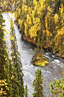 Images Dated 25th November 2013: Europe, Finland, Lapland, Kuusamo, Oulanka National Park, Kalliosaari island in the