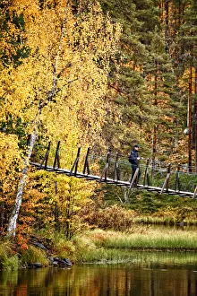 Images Dated 25th November 2013: Europe, Finland, Lapland, Kuusamo, Oulanka National Park, Karhunkierros Trail - the