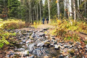 Images Dated 25th November 2013: Europe, Finland, Lapland, Kuusamo, Oulanka National Park, Karhunkierros Trail - the