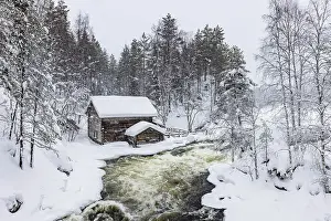 Freeze Prints: Europe, Finland, Myllykoski Mill and Myllytupa gorge at Oulanka National Park in winter
