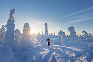 Finland Gallery: Europe, Finland, tourists hiking to the top of a hill covered with snow at Riisitunturi National