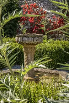 Nice Prints: Europe, France, Cote D Azur. Inside the garden Jardin du Monastere de Cimiez