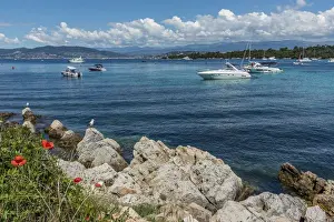 Cannes Prints: Europe, France, Cote D Azur. View from the Ile Saint-Honorat near to Cannes