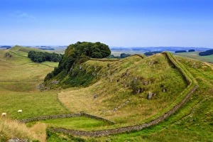 Europe, Great Britain, England, Northumberland, Hadrians Wall Unesco World Heritage site