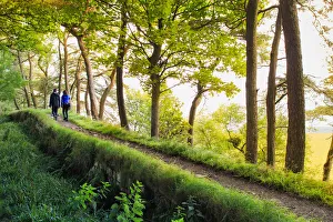 Europe, Great Britain, England, Northumberland, Hadrians Wall Unesco World Heritage