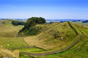 Images Dated 8th August 2017: Europe, Great Britain, England, Northumberland, Hadrians Wall Unesco World Heritage site