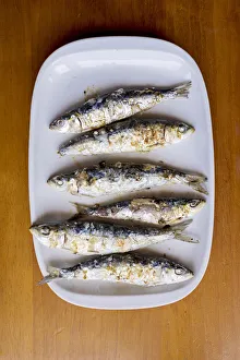 Europe, Iberia, Portugal, The Alentejo, sardines on a plate in Portugal