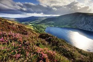 Images Dated 10th October 2017: Europe, Ireland, blue lake at Sallys Gap in Wicklow mountains national park