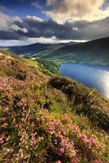Europe, Ireland, blue lake at Sallys Gap in Wicklow mountains national park