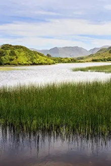 Kylemore Abbey Prints: Europe, Ireland, Connemara, blue sky reflecting in a lake near Kylemore Abbey