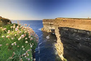 Europe, Ireland, Downpatrick head sea stack at sunset