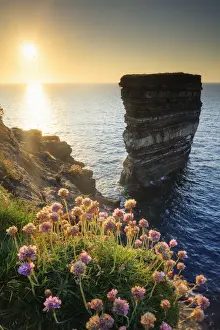 Europe, Ireland, Downpatrick head sea stack at sunset