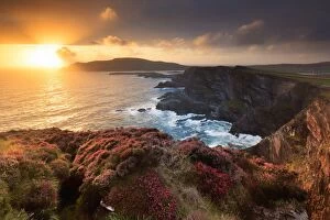 Images Dated 28th July 2017: Europe, Ireland, Portmagee cliffs at sunset along the Ring of Kerry