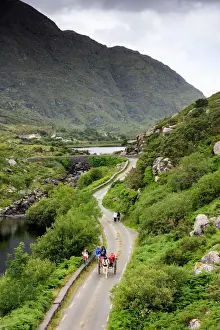 Pony Prints: Europe, Ireland, ring of Kerry, tourists on traditional pony and trap visiting