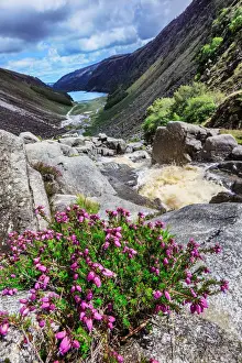 Activity Prints: Europe, Ireland, Wicklow, waterfall at Glendalough lake