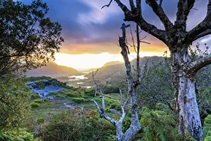 Kerry Prints: Europe, Ireland, Wild Atlantic Way, Ring of Kerry, sunrise at Ladys view viewpoint